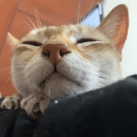 Github Ohno Butsudoi2021 8 - Download Artistic City Pattern | High Resolution