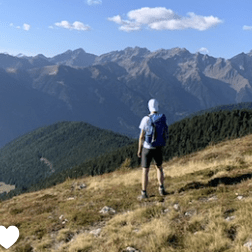 Carlsenior Carl Github - Best Light Patterns in Desktop