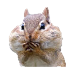 Mjkim Micro Minji Kim Github - Ultra HD Ocean Image - Ultra HD