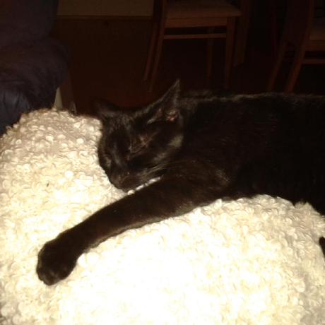 St Schmitt Github - Geometric Wallpapers - Artistic High Resolution Collection