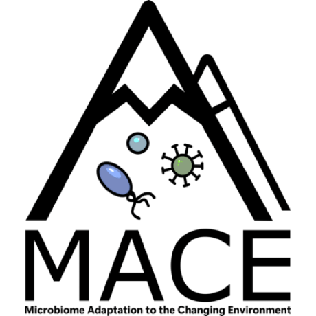 Mace Lab Github - Premium Light Pattern Gallery - High Resolution