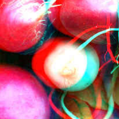 Team Radish Github - Premium Vintage Wallpaper Gallery - Desktop