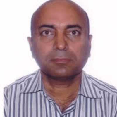 Raza Ali Research Github - Nature Pattern Collection - 8K Quality