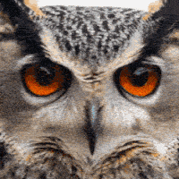 Codewithazhar02 Ajaharuddin Ansari Github