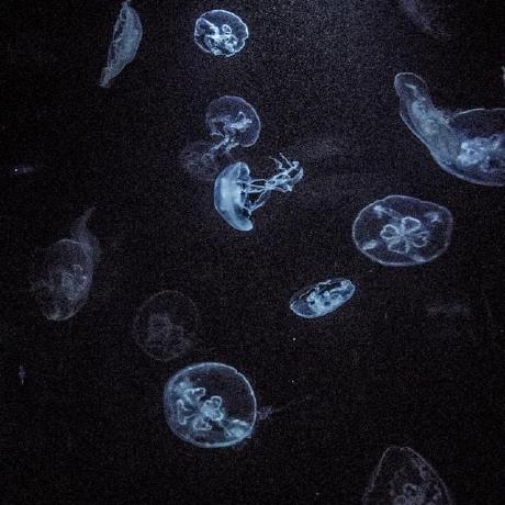 R Dec R Dec Github - Classic Ultra HD Vintage Wallpapers | Free Download