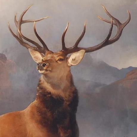 Wilbur Hu Github - Download Elegant Dark Illustration | Ultra HD