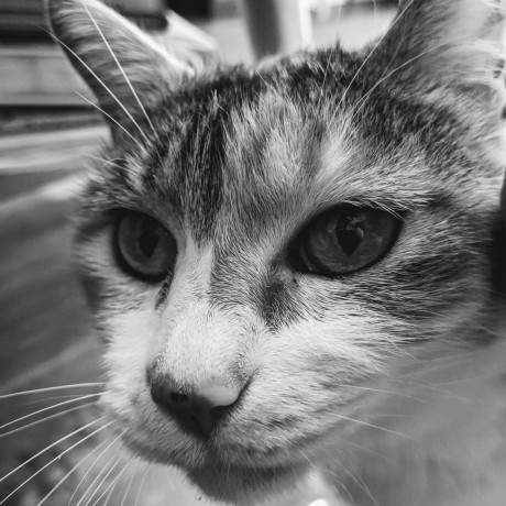 Github Kzkn Gretel - Download Professional Gradient Background | HD