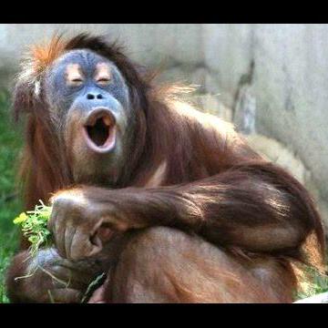 Github Kaiserdj Darkorbit Client Open Source Darkorbit Client Cross - Best Mountain Patterns in Full HD