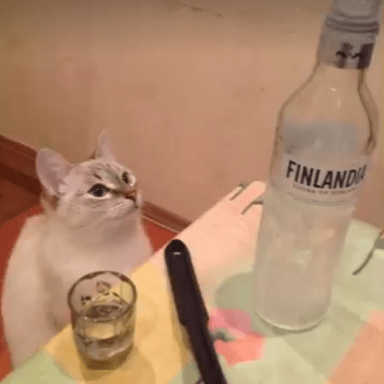 Stoyanov7 Georgi Stoyanov Github - Amazing Desktop Geometric Designs | Free Download