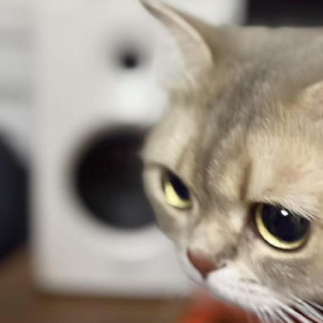 Lergibbs Gibbs Github - Download Perfect Space Picture | Full HD