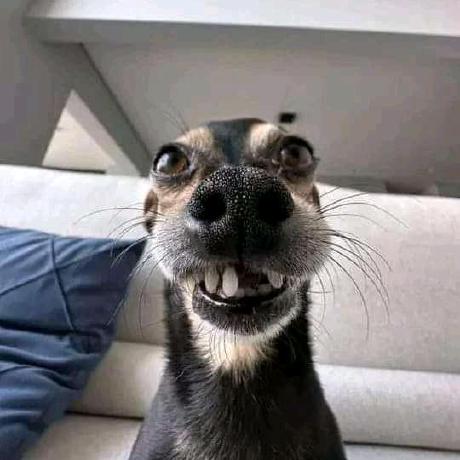 Bokang Thoka Github - Ultra HD 8K Abstract Patterns | Free Download