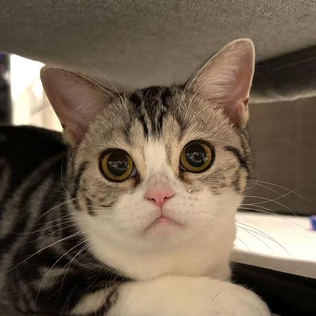 Github Imxieyi Sticker Time Bot Telegram Bot To Send Sticker Telling - Download Amazing Colorful Art | HD