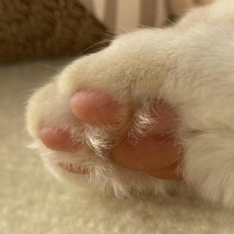 Kyuserenity Ikkyu Github - Vintage Photos - Elegant Ultra HD Collection