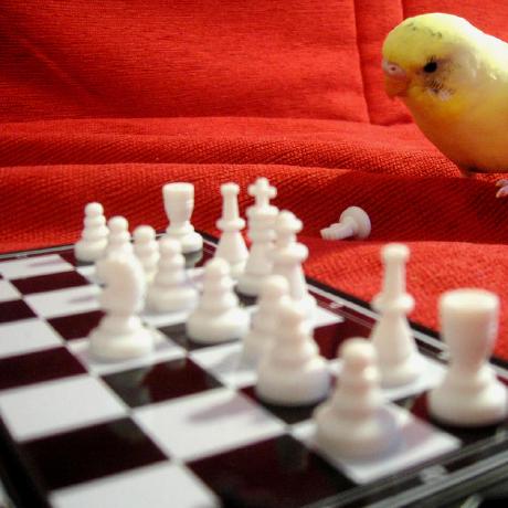 Github Statgen Popscle A Suite Of Population Scale Analysis Tools - Ocean Wallpaper Collection - 8K Quality