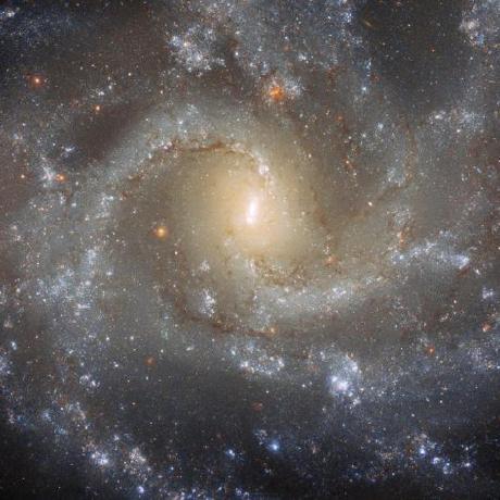 Prashansa 24 Prashansa Github - Creative High Resolution Nature Illustrations | Free Download