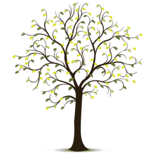 Dry A Audrey Developer Github - Best Landscape Arts in Full HD