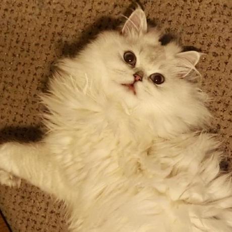 Github Xz Liu Dualmatch - Gorgeous Geometric Wallpaper - 4K