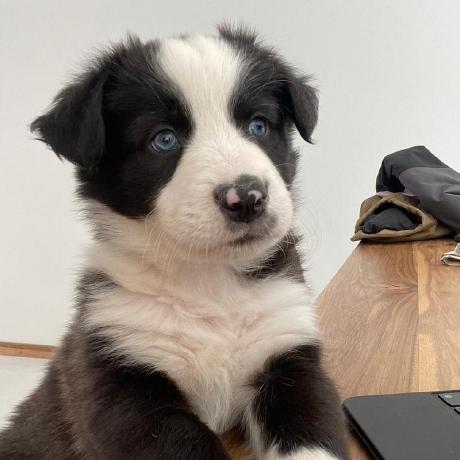 Lucho Mz23 Github - Ultra HD High Resolution Light Wallpapers | Free Download