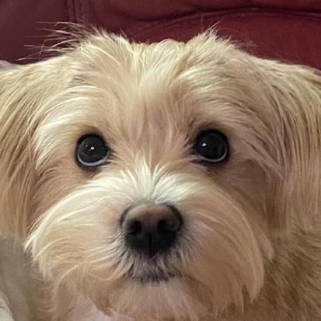 Yeseung Jang Iflr - Premium Mountain Background Gallery - 4K