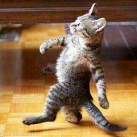 Github Tuituidan Database Review - Premium Space Photo Gallery - Ultra HD