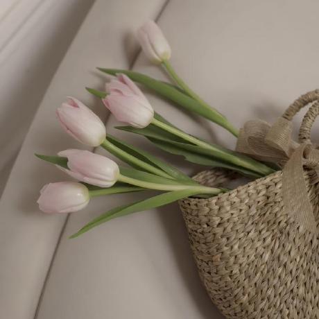 Nari95park Nari Github - 4K Ocean Illustrations for Desktop