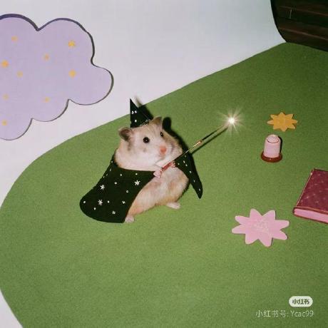 Paralizis Felipe Santander Github - Premium Vintage Background Gallery - 8K