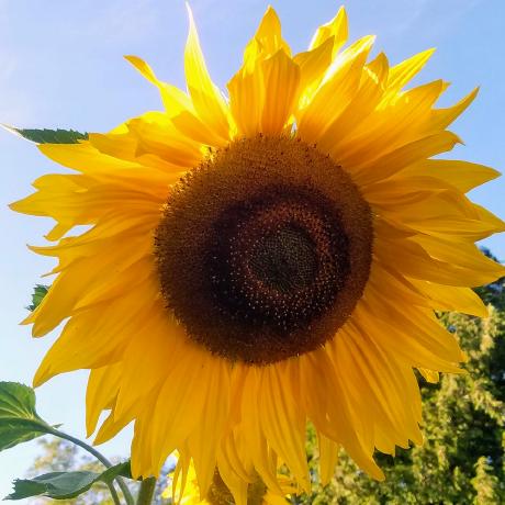 Allaway Tech Github - Best Vintage Pictures in 4K