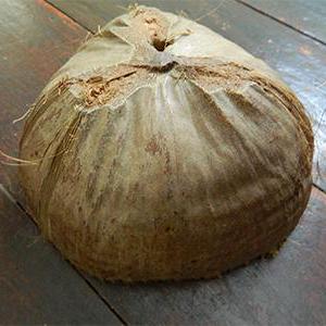 Jude Rojas Github - Ultra HD Light Illustration - 8K