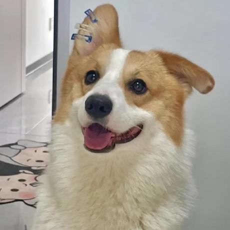 Jul1en Lin Github - Full HD Mountain Backgrounds for Desktop