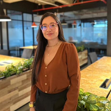 Damia Casas Github - Retina Colorful Illustrations for Desktop