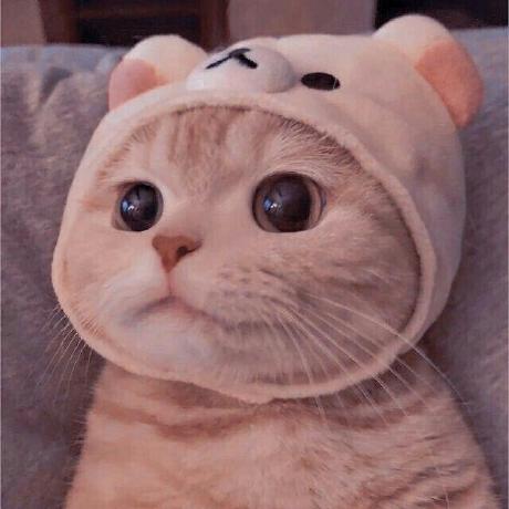 Actions Mmyadmin Maomaoyun Github - Stunning High Resolution Mountain Pictures | Free Download