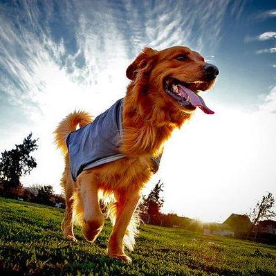 Github Renkangchen Myshell This Is A C Program Which Imitates The - Artistic Nature Background - 8K