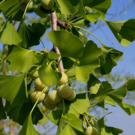 Github Alcatraz323 Alcatraz323 Github Io - Minimal Patterns - Gorgeous HD Collection