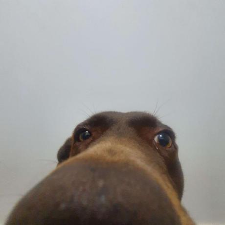 Github Drewzxcvbnm Rusty Controller - Ultra HD 8K Minimal Arts | Free Download