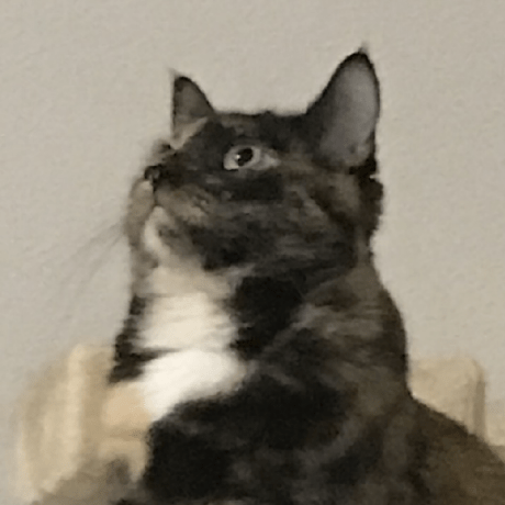 Sojobo Aaron Github - Nature Backgrounds - Stunning HD Collection