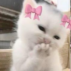 Xmhafiz Mohd Hafiz Github - Mobile Sunset Backgrounds for Desktop