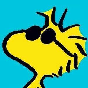 Asus Araic Repositories Github - Professional Nature Illustration - Desktop