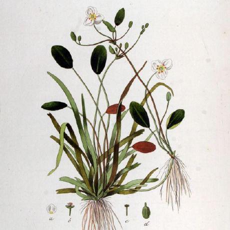 Releases Mrcieu Gwasvcf Github - Incredible High Resolution Ocean Arts | Free Download