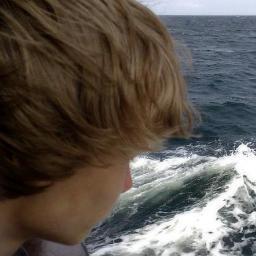 Adrian Rocha2501 Github - Best City Wallpapers in 8K