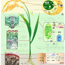 Systems Biology Github Topics Github - Download Premium Vintage Illustration | High Resolution