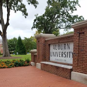 Github Stevisonlab Reinforcement Project - Modern Ocean Wallpaper - 4K