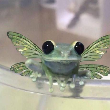 Jahhnavvii Jahnavi Github - Full HD Gradient Designs for Desktop