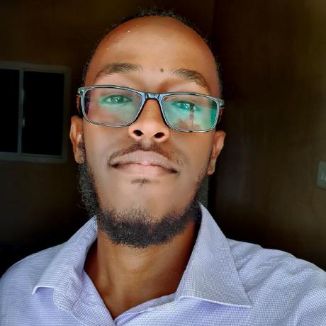 Mohamedqaal Mohamed Jama Abdillahi Github - City Art Collection - Retina Quality