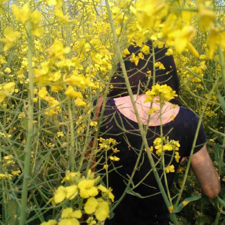 Thea13579 Thea Github - Ocean Pattern Collection - Full HD Quality