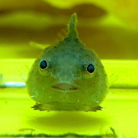 Kanta Uchiyama3 Github - Dark Art Collection - Full HD Quality