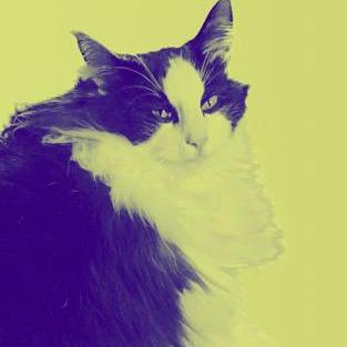 Ryo Iwamoto Github - Gorgeous Gradient Illustration - 8K