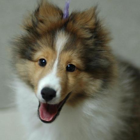 Shige Tadashi Shigeoka Github - Download Modern Dark Texture | 4K