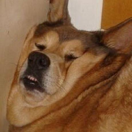 Butterfly Jo - Download Ultra HD Mountain Wallpaper | Full HD