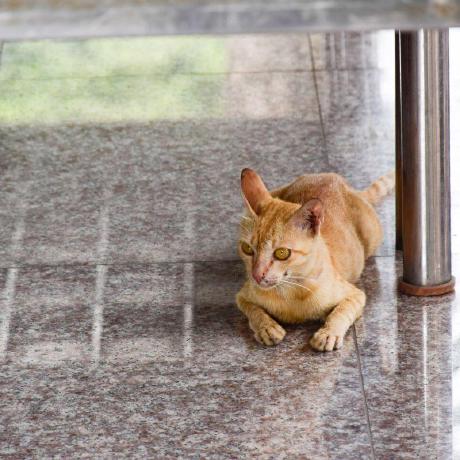 Tsuuuuuuun Hayato Tsumura Github - Amazing High Resolution Sunset Wallpapers | Free Download