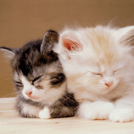 Seongmin Baek Github - Gradient Patterns - Artistic Mobile Collection